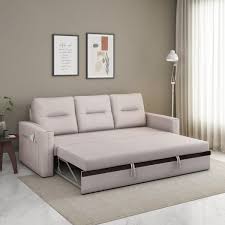 Sofa Cum Bed With Track Fitting